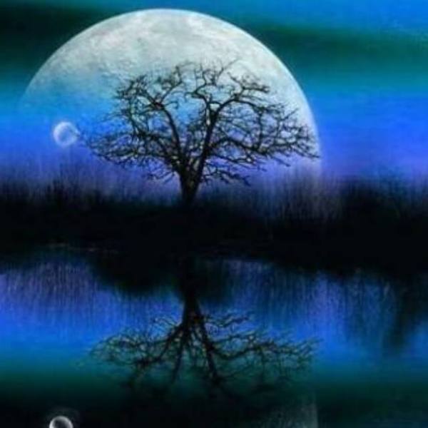 Moon Night Scenery - DIY Diamond Painting