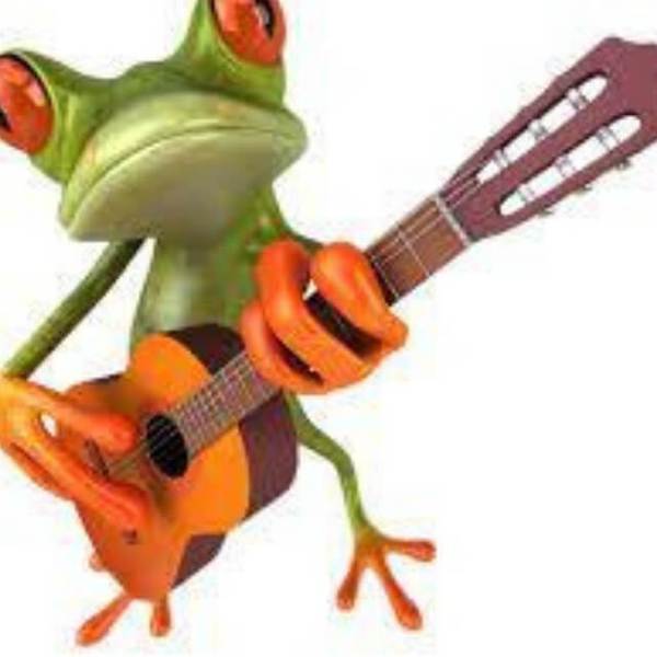 Frog Plays Guitar - DIY Diamond Painting