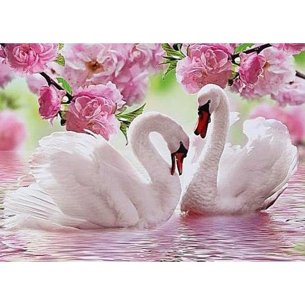 Lovely Swan - DIY Diamond Painting