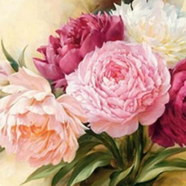 Lovely Carnation Flower - DIY Diamond Painting