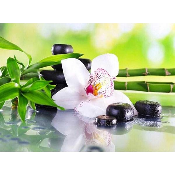 Orchid Flower and a Bamboo - DIY Diamond Painting
