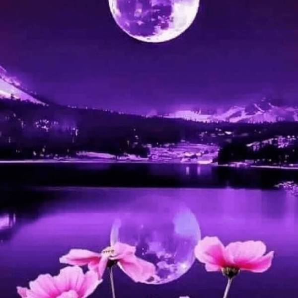 Moonlight Scenery - DIY Diamond Painting