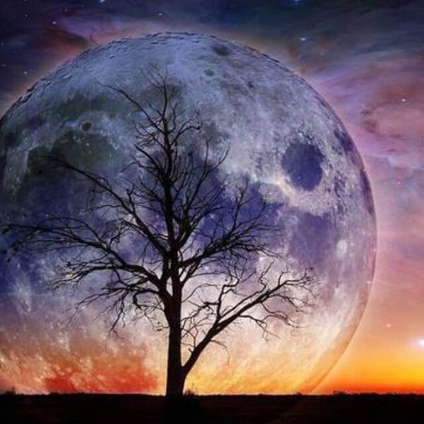 Moon Night Scenery #4 - DIY Diamond Painting