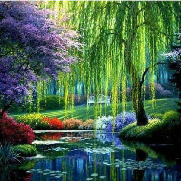 Paradise in Forest - DIY Diamond Painting