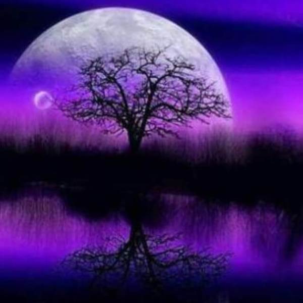 Moon Night Scenery #2 - DIY Diamond Painting