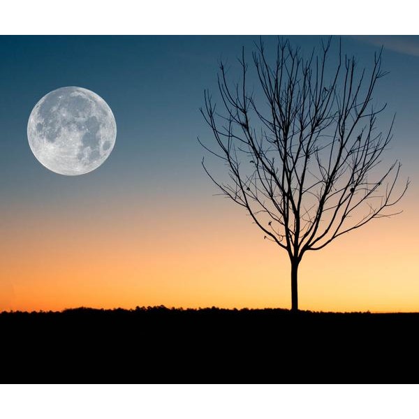 Clear Moon - DIY Diamond Painting