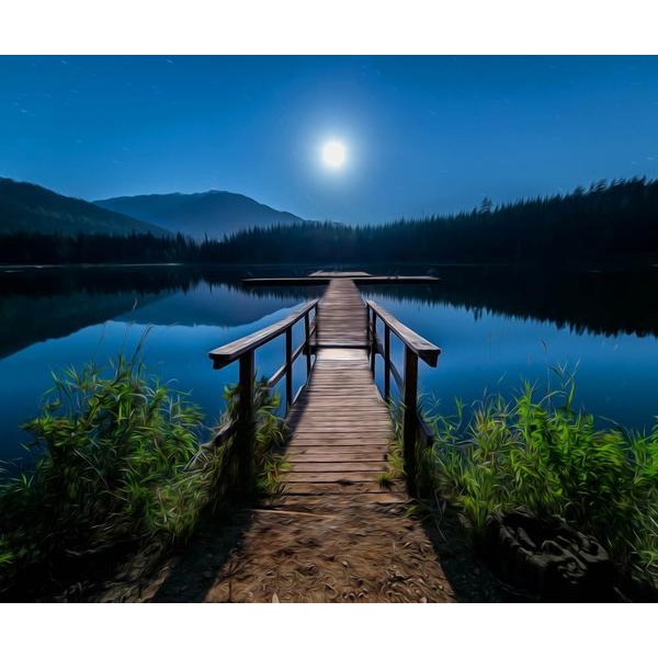 Moon View by the Lake - DIY Diamond Painting