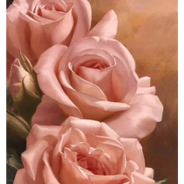Rose Bloom #1 - DIY Diamond  Painting