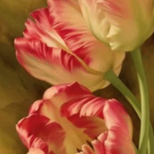 Peach Lily - DIY Diamond  Painting