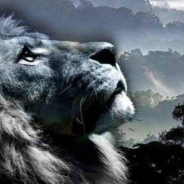 Mighty Lion - DIY Diamond Painting