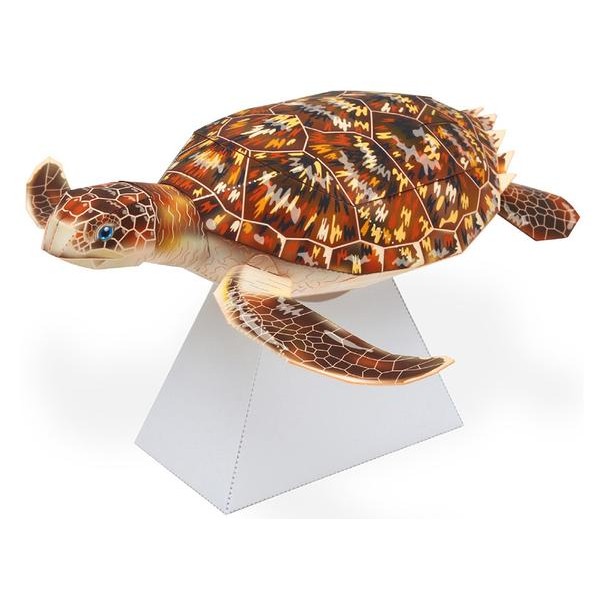 Sea Turtle DIY 3D Origami