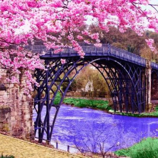 Cherry Blossom Besides Bridge - DIY Diamond Painting