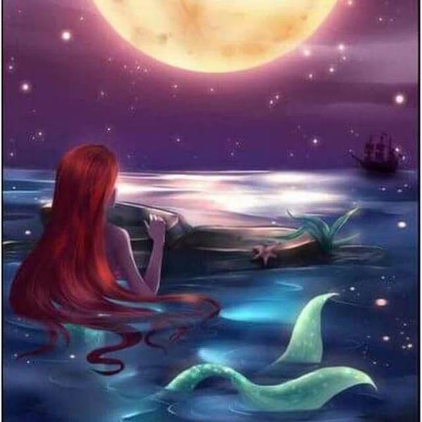 Mermaid under the moon - DIY Diamond Painting