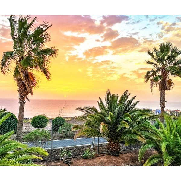 Palm Tree in the Resort - DIY Diamond  Painting