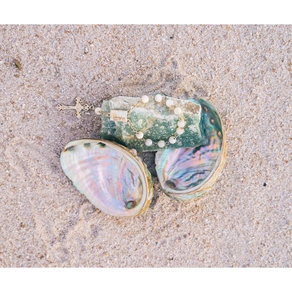 Sea Shells - DIY Diamond  Painting