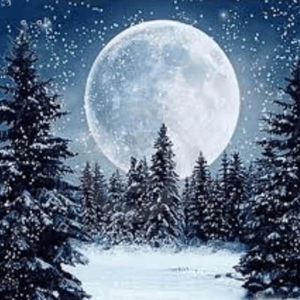 Snowy Full Moon - DIY Diamond Painting