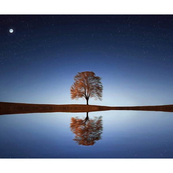 Calmness in the night - DIY Diamond Painting