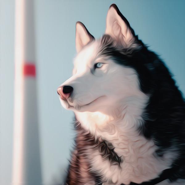 Sighting Husky - DIY Diamond Painting