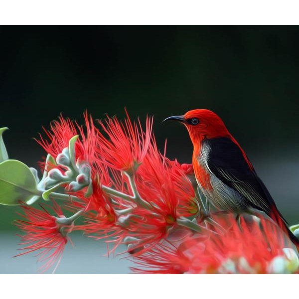 Mountain Scene - DIY Diamond Painting