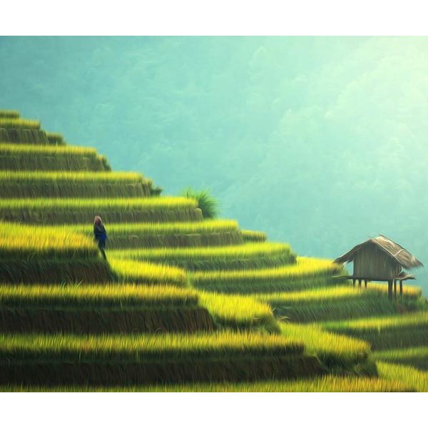 Rice Terraces - DIY Diamond Painting