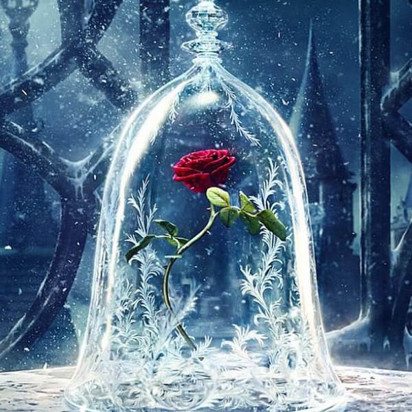 Beauty and the Beast Iced Rose - DIY Diamond Painting