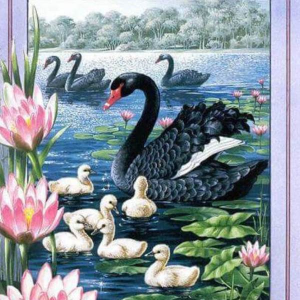 Black Swan - DIY Diamond Painting