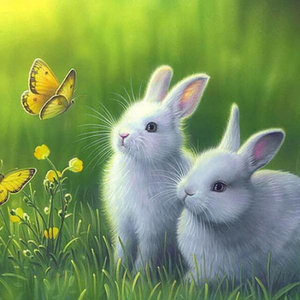 Two Lovely Rabbits - DIY Diamond Painting