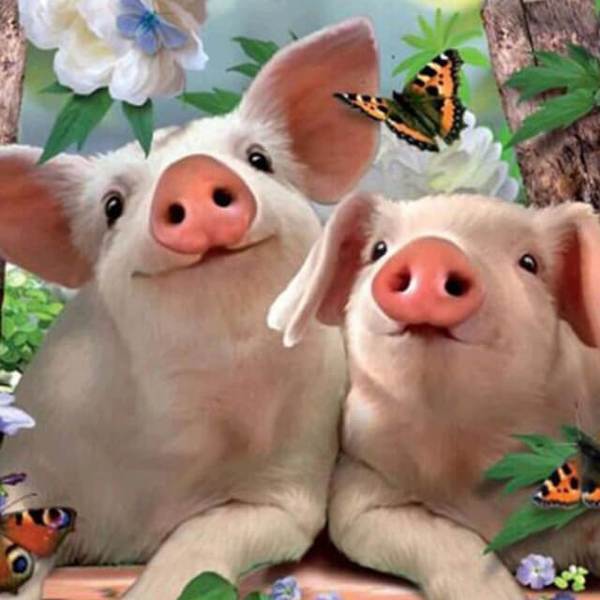 Two Lovely Pigs - DIY Diamond Painting