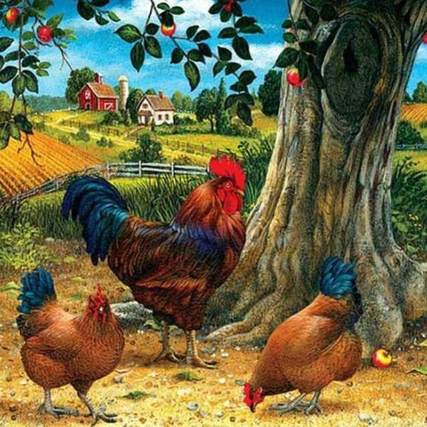 Chickens in a Farm - DIY Diamond Painting