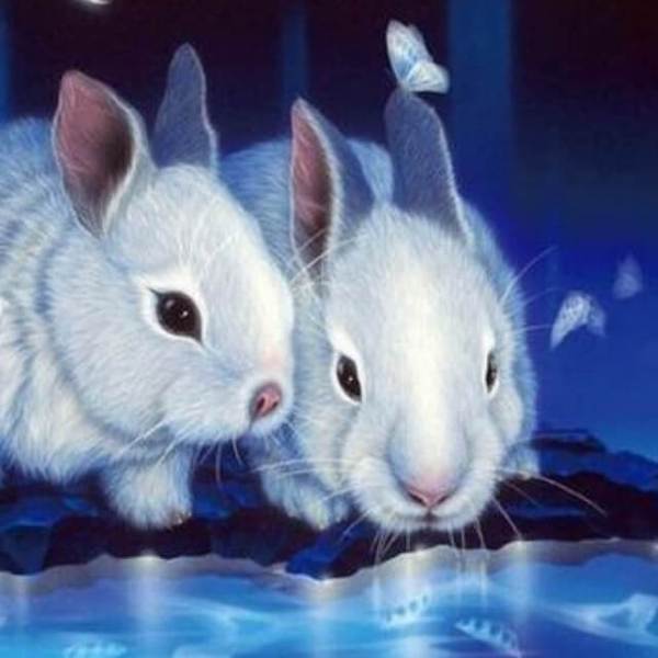 Rabbits - DIY Diamond Painting