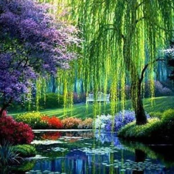 Forest Scenery #1 - DIY Diamond Painting