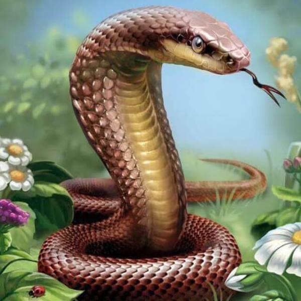 Snake #1 -DIY Diamond  Painting