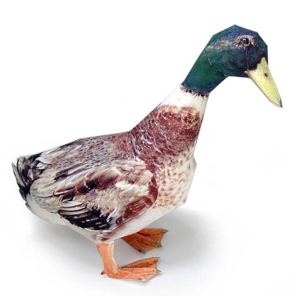 Mallard Duck DIY 3D Origami