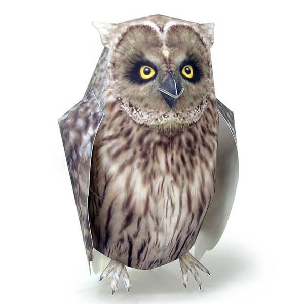 Blakiston's Fish Owl DIY 3D Origami