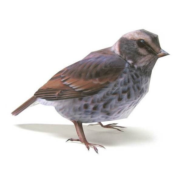 Dusky Thrush DIY 3D Origami