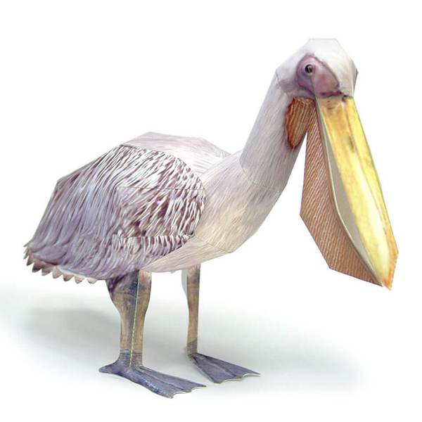 Great White Pelican DIY 3D Origami