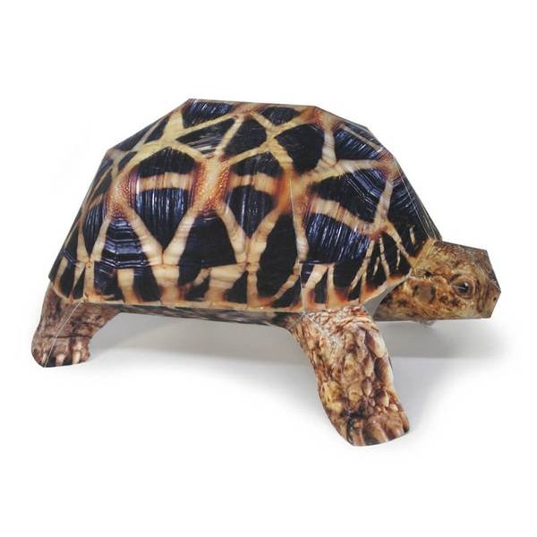Indian Star Tortoise DIY 3D Origami