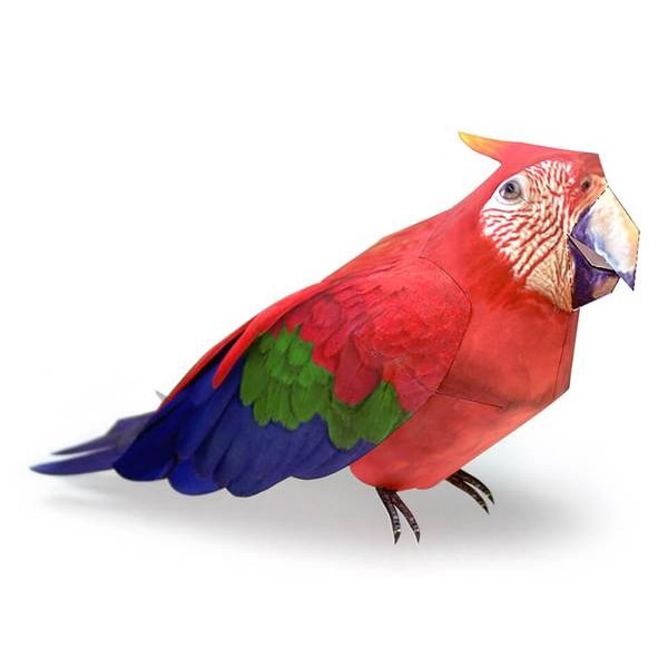 Macaw Psittacidae Parrot DIY 3D Origami