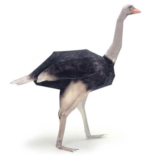 Ostrich DIY 3D Origami
