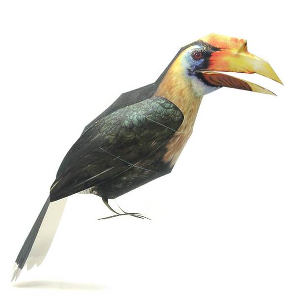 Hornbill Bird DIY 3D Origami