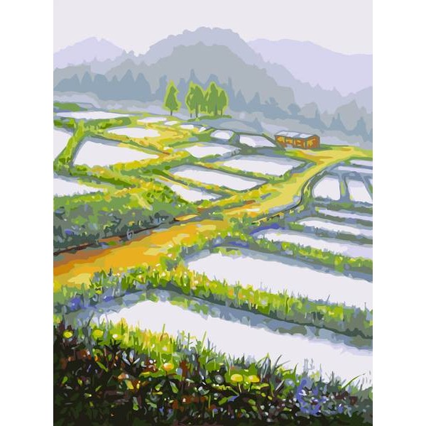 Rice Field - DIY Painting By Numbers