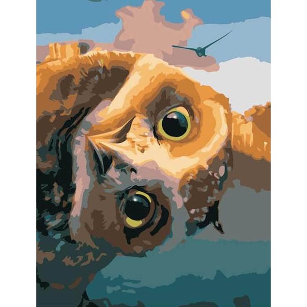 Sneaking Owl - DIY Painting By Numbers