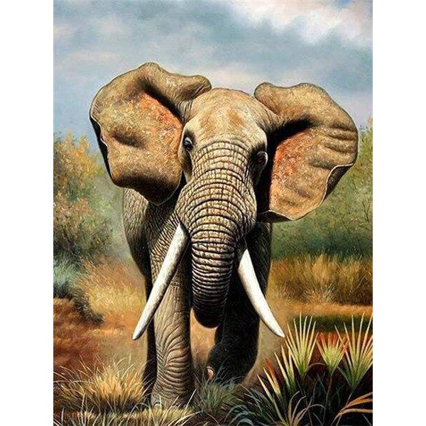 Happy Elephant - DIY Painting By Numbers