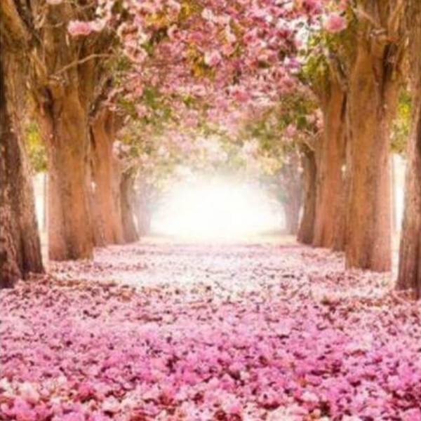 Girl star gazing - DIY Diamond Painting