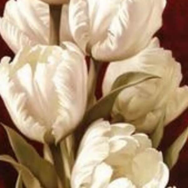 Rose Bloom #3 - DIY Diamond  Painting