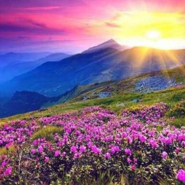 Sunrise in a Flower Hill - DIY Diamond Painting