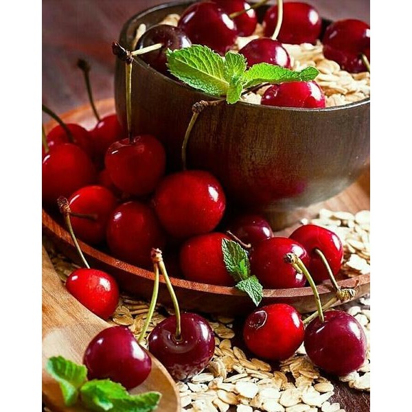 Cherry and Oatmeal - DIY Diamond Painting