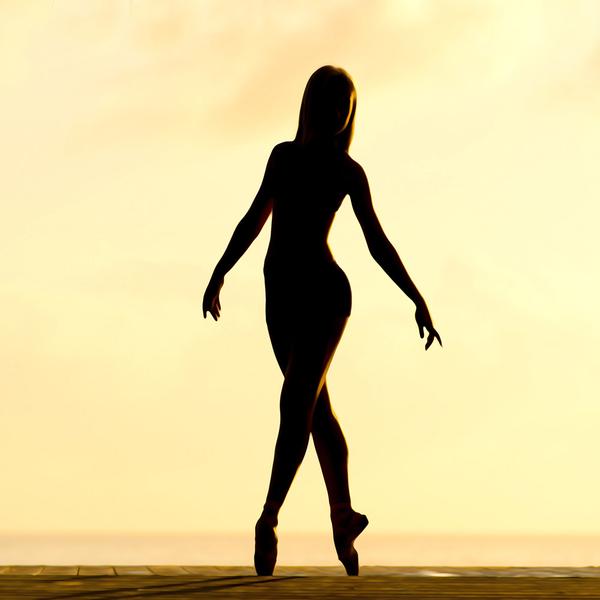 Silhouette Ballerina - DIY Diamond Painting