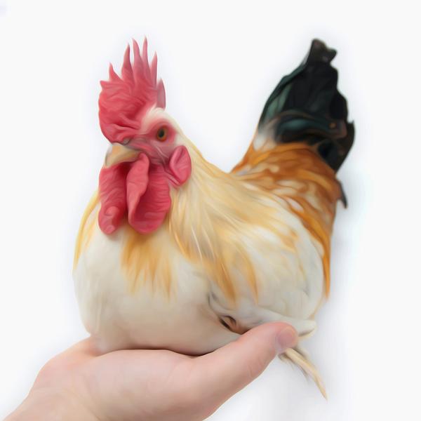 Rooster - DIY Diamond Painting