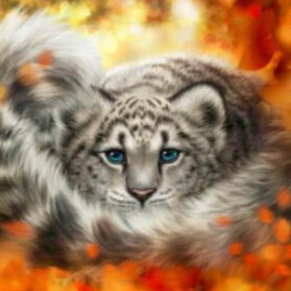 Leopard - DIY Diamond Painting